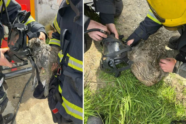 VATROGASCI - HEROJI! Dobili dojavu da izbija dim iz kuće, tamo su zatekli njega! NIJE DAVAO ZNAKE ŽIVOTA, ALI NISU ODUSTALI (FOTO+VIDEO)