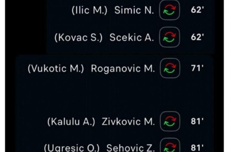 Grobari se ne mire sa porazom