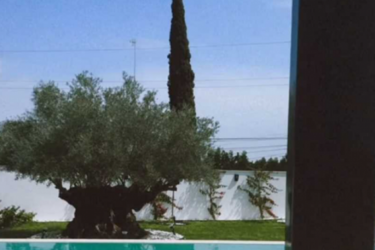 Anastasija Ražnatović i Nemanja Gudelj