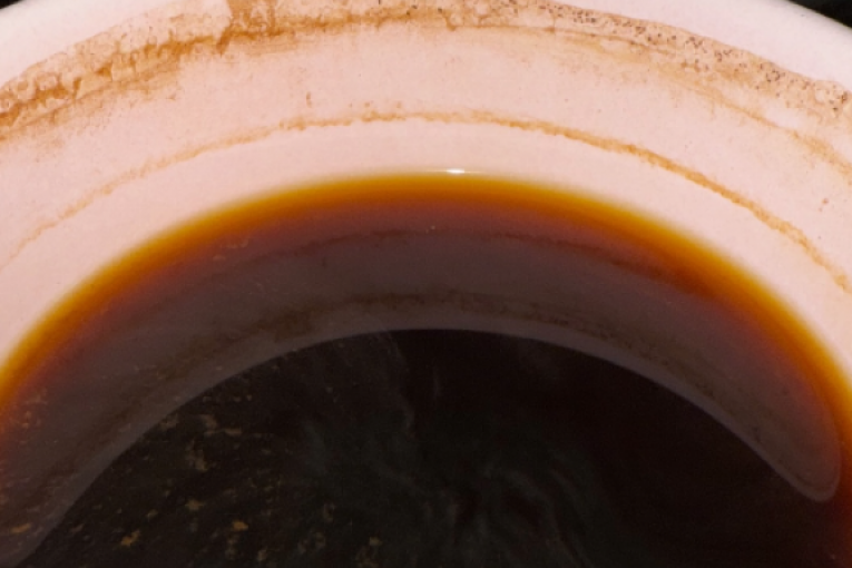 Objava Ljupke Stević