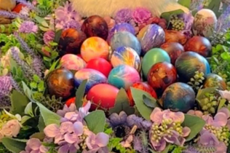 Jaja Slađe i Đanija