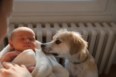 UZELI SU PSA IZ AZILA I DONELI GA KUĆI KOD BEBE OD 2 MESECA: Jedne noći ih je probudilo zavijanje, majka je uletela u sobu i PRETRNULA od straha kad je ugledala ćerku! (VIDEO)