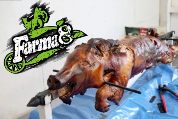 PUČE BRUKA NA VELIKU SUBOTU ZBOG PRASETA NA RAŽNJU: Skandal u "Farmi 8", pljušte psovke i uvrede! (VIDEO)