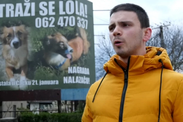 PSA LOLE NEMA OD JANUARA, A NJEN VLASNIK OBJASNIO CELOJ SRBIJI ŠTA ZNAČI LJUBAV PREMA ŽIVOTINJAMA! Zakupio i bilbord u Čačku da nađe ljubimicu!