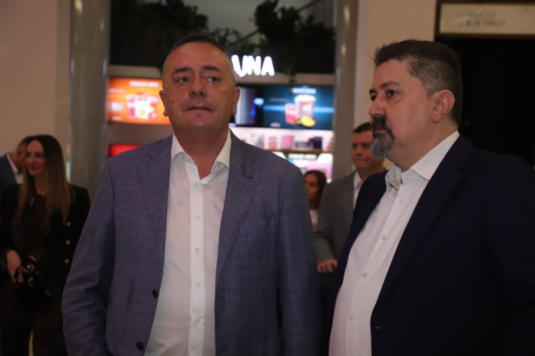 Aleksandar Antić, funkcioner SPS