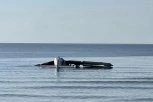 SRUŠIO SE AVION U REKU: Pilot i jedan putnik izveli ČUDO