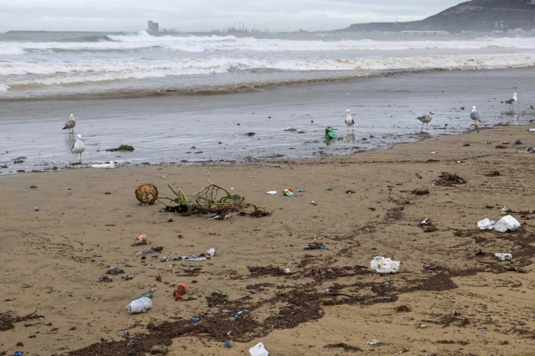 VODA IZBACILA JEZIVO STVORENJE IZ "ZONE SUMRAKA": Ogromno je, ima oštre očnjake, a prava MISTERIJA BILA JE U NJENOM STOMAKU (VIDEO)