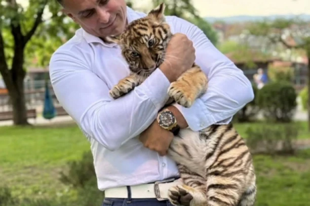 NAKON BENGALSKE MAČKE OD 1000 EVRA - TIGAR: Dečko Jovane Jeremić OBELODANIO novu životinju pa okačio fotografiju sa njom! (FOTO)