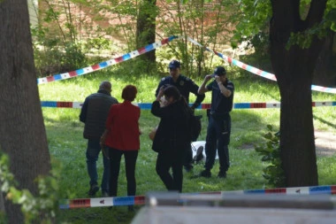 HOROR U BEOGRADU! Pronađeno telo muškarca ispod drveta!