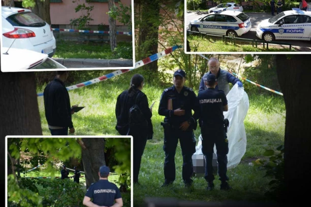 UHAPŠEN OSUMNJIČENI ZA UBISTVO NA ZVEZDARI!