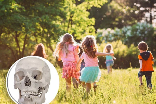 DECA U PARKU PRONAŠLA LJUDSKU LOBANJU: Roditelji odmah pozvali policiju