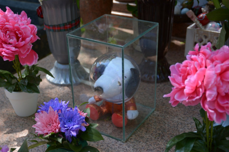 Slike sa Novog groblja