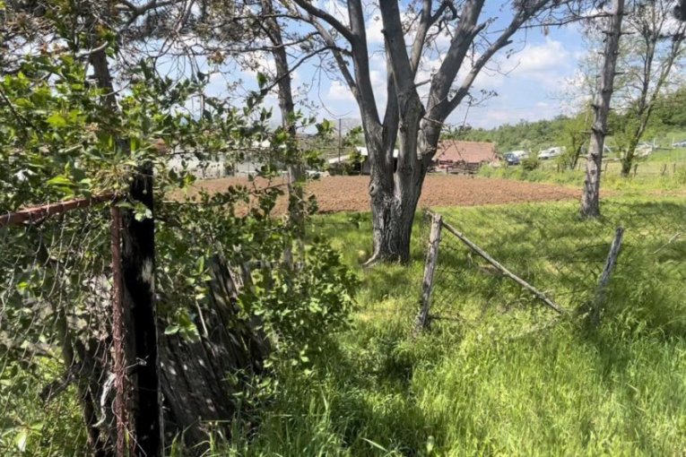 Tragedija kod Topole