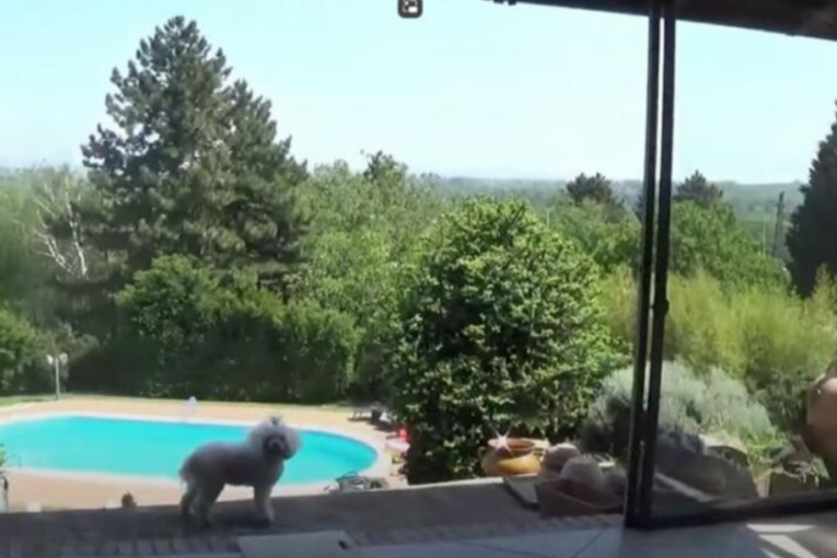 Vikendica Kristine Radenković