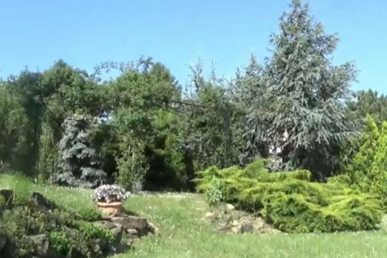 Vikendica Kristine Radenković