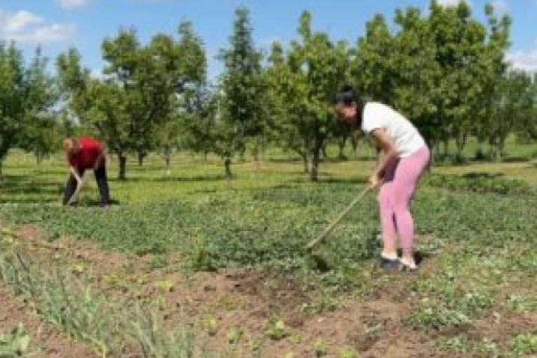 Katarina Lazić Instagram