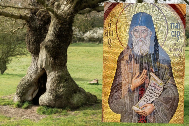 ČUDO PRIRODE I VERE: Unutrašnjost starog hrasta krije crkvu Svetog Pajsija koju posećuju vernici iz celog sveta (VIDEO)