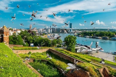 POČINJE SUZBIJANJE KOMARACA U BEOGRADU! Evo u kojim delovima grada će se zaprašivati i kad