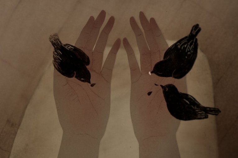 Tri ptičice, kadar iz filma