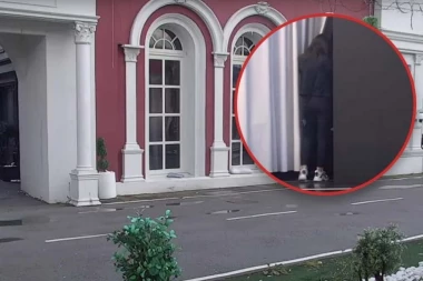 BEŽI IZ ELITE, ISPLIVAO HOROR SNIMAK! Stravične scene u dvorištu Bele kuće! (GALERIJA)