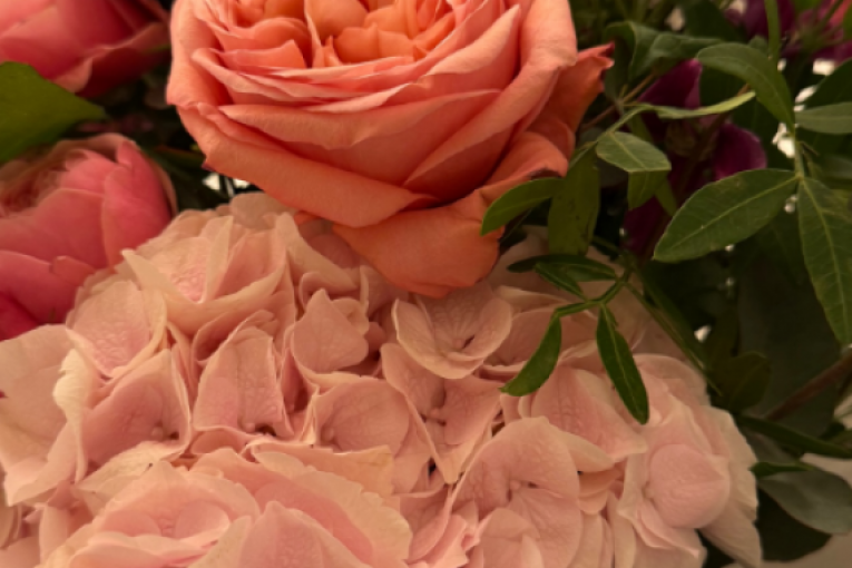 Rođendan Milice Mitrović