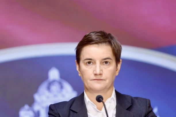 "ŠTA ON ZNA ŠTA JE EVROPSKI SAVET"! Ana Brnabić žestoko odgovorila Radomiru Lazoviću!
