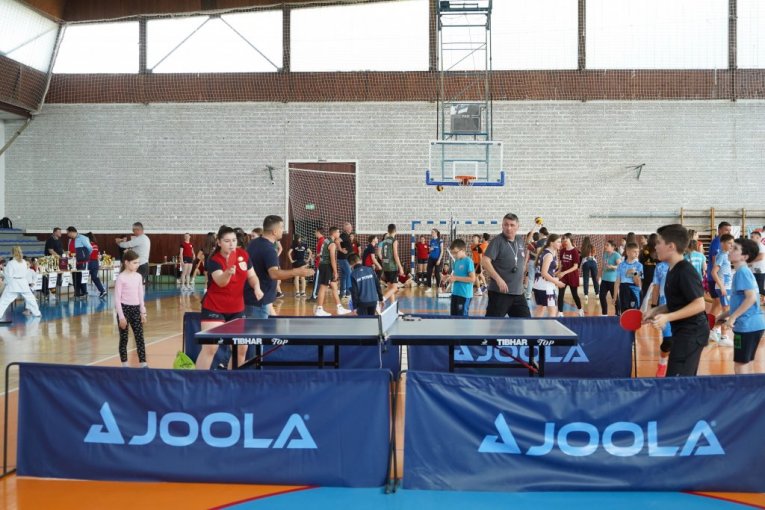 Mali sajam sporta održan je u Trsteniku - edukacija, prezentacija i treninzi