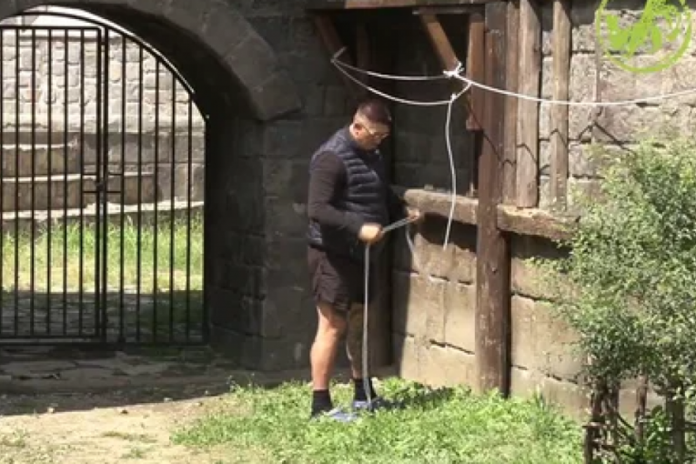 Kristijan Golubović Farma 8