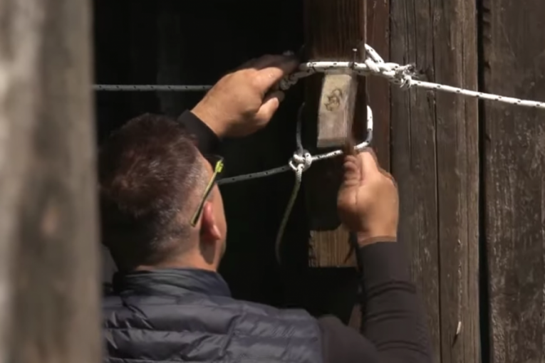 Kristijan Golubović Farma 8