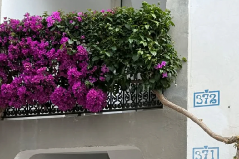 Ana Bekuta Instagram