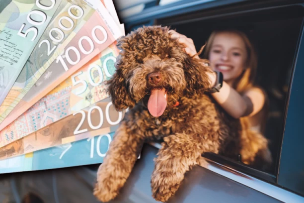 AKO IMATE PSA, ČUVAJTE SE DA NE PLATITE KAZNU OD 20.000 DINARA! Mnogi ne znaju da su ove banalne stvari nedozvoljene, pa ih RADE SVAKI DAN