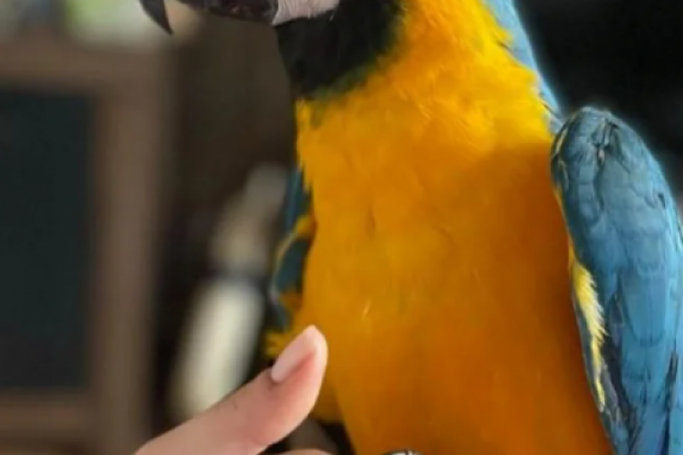 Marija Mikić Instagram