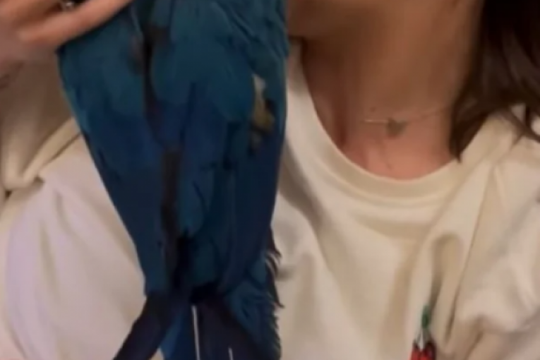 Marija Mikić Instagram