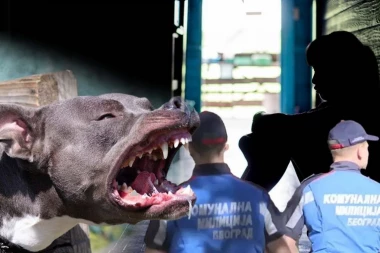 ON JE SPASAVAO ŽIVE GLAVE MLADIĆU I DEVOJCI KOJE JE UMALO UBIO STAFORD NASRED ULICE! Detalji drame na Ceraku lede krv u žilama! OČEVIDAC JOŠ POTRESEN!