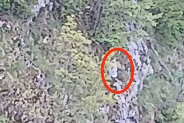 "OVO JE BOŽIJE ČUDO" - BOGDAN PREŽIVEO SUSRET SA SMRĆU: Ispao iz kola, visio iznad litice na tankoj grani  - sve se desilo kod manastira (FOTO)