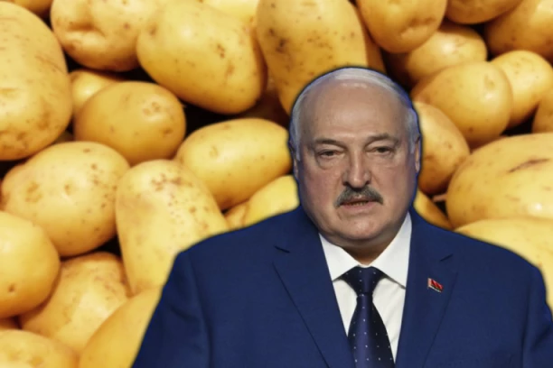 POVRTARSKA APOKALIPSA U BELORUSIJI! Lukašenko poručio građanima da sade krompir dok još ima vremena
