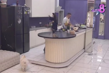 LUDILO U BELOJ KUĆI! Gastoz ZAGREMEO na Anđelu zbog jedne rečenice! (VIDEO)