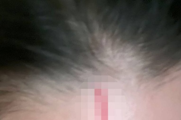 Maja Marinković pretučena Filip Car Zadruga Elita