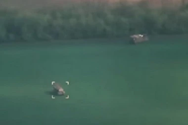 KAKO U TRENU IZGUBITI 40 MILIONA EVRA? Ukrajinci su jednim potezom pokazali da može i ovako (VIDEO)