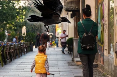 ŠTA DA RADITE AKO SE VRANA ILI SVRAKA OBRUŠE NA VAS: Ovo su jasna uputstva, evo šta nikako ne smete da učinite!