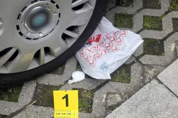 OVAKO SU POHAPŠENI DILERI SA NOVOG BEOGRADA! Pretresom stanova policija pronašla tri kilograma kokaina i drugih droga! (FOTO+VIDEO)