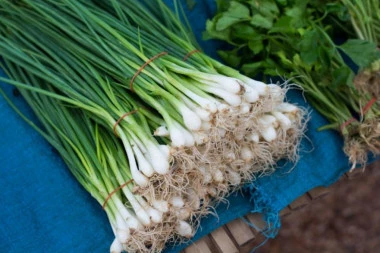 ŠTA ĆE SE DOGODITI AKO SVAKI DAN JEDETE MLADI LUK? Promene su ogromne, vide se već posle dva dana
