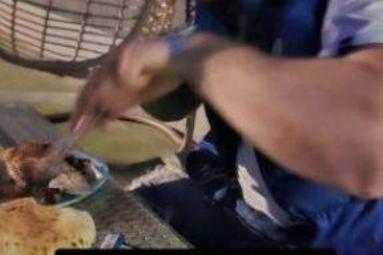 Miljana Kulić sa novim dečkom