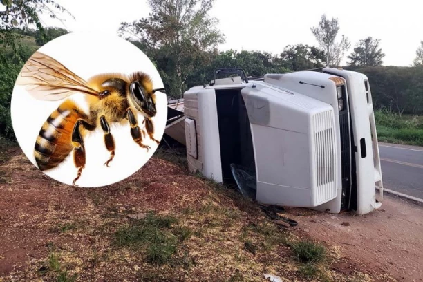 LOM NA PUTU! Prevrnuo se kamion, koji je prevozio 250 miliona pčela! POLICIJA IZDALA HITNO UPOZORENJE GRAĐANIMA! (VIDEO)