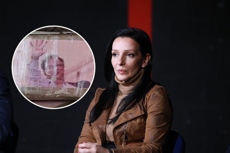 TUŽILAŠTVO HITNO DA REAGUJE! Razmontirana Marinikina laž o povezanosti Vučića i narko-kartela - NEKO MORA DA ODGOVARA!