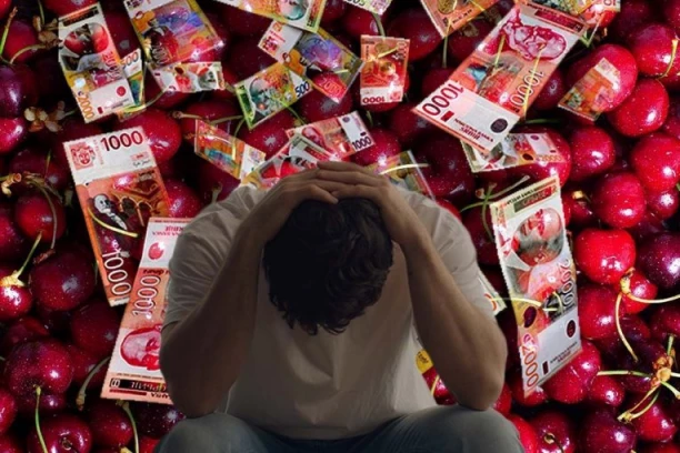 UZEO SAM KREDIT DA KUPIM TREŠNJE! Cena šokirala građane: "Prodajem drvo ovog voća za garsonjeru u Beogradu"