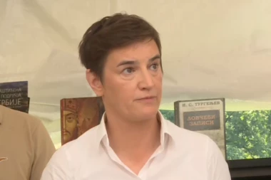 NIJE KRAJ KADA BLOKADERI KAŽU! Brnabić: Kraj je kada Srbija kaže! Srbija je svirala kraj teroru!