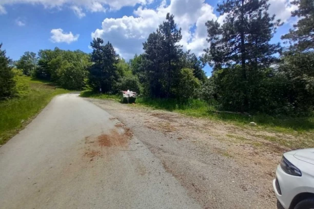 HOROR KOD ČAČKA! Pronađeno pet leševa pasa i oko njih patroni! (UZNEMIRUJUĆE FOTOGRAFIJE)