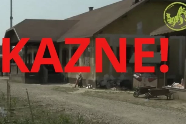 ISKIDALI SU SVE PO DVORIŠTU, MOMENTALNO IZREČENE KAZNE! Totalni haos na Farmi pred finale - OVI TAKMIČARI HITNO SANKCIONISANI!