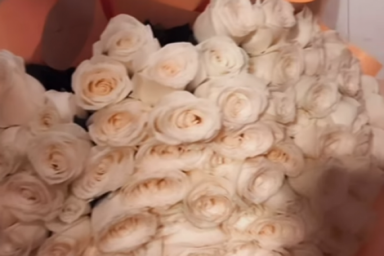 Maja Marinković Instagram